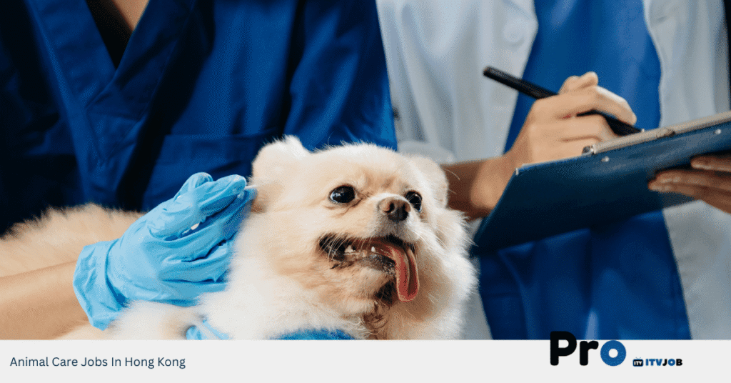 Animal Care Jobs In Hong Kong