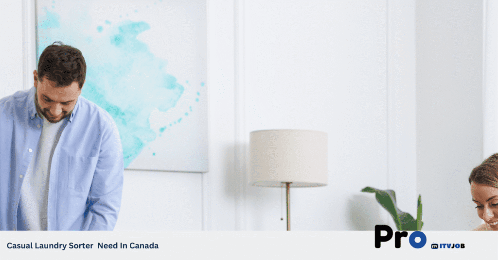 Casual Laundry Sorter Need In Canada