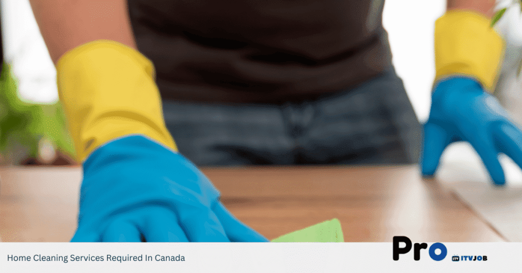Home Cleaning Services Required In Canada