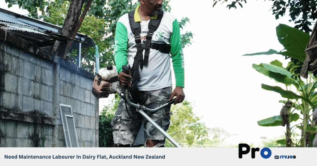 Need Maintenance Labourer In Dairy Flat, Auckland New Zealand