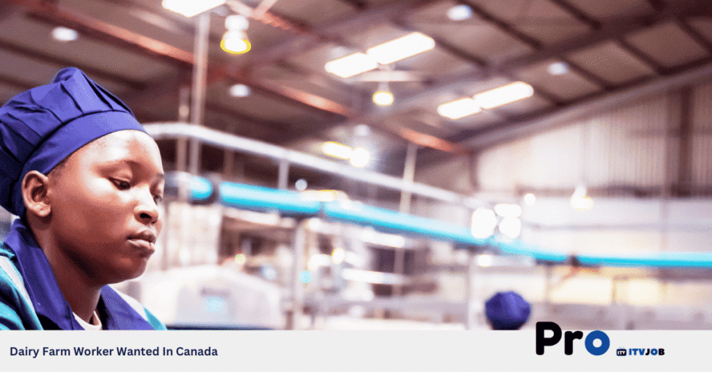 Dairy Farm Worker Wanted In Canada
