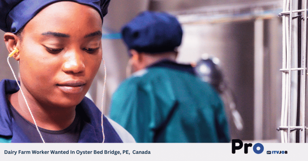 Dairy Farm Worker Wanted In Oyster Bed Bridge, PE, Canada