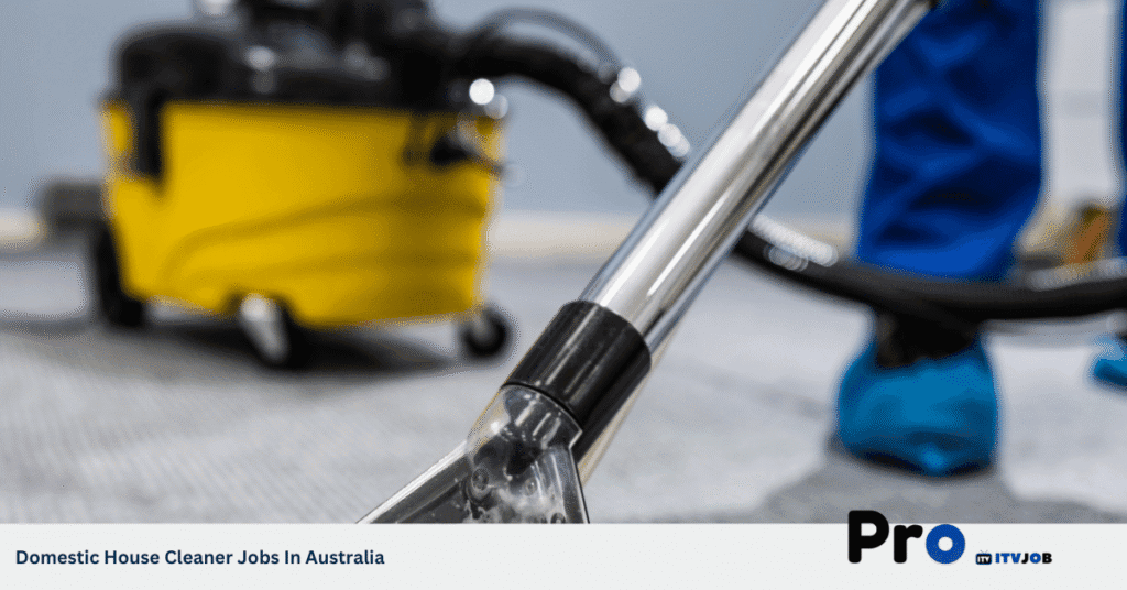 Domestic House Cleaner Jobs In Australia