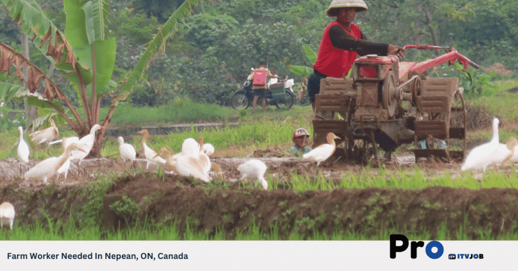 Farm Worker Needed In Nepean, ON, Canada