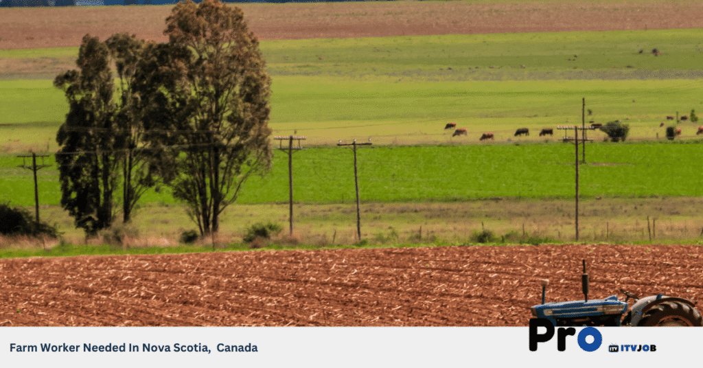Farm Worker Needed In Nova Scotia, Canada