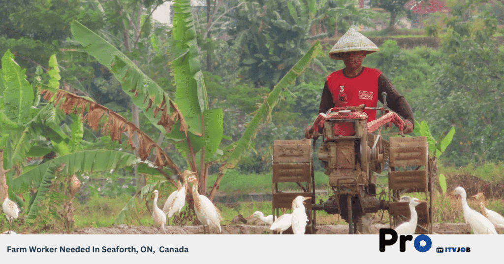 Farm Worker Needed In Seaforth, ON, Canada