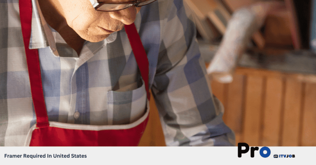 Framer Required In United States