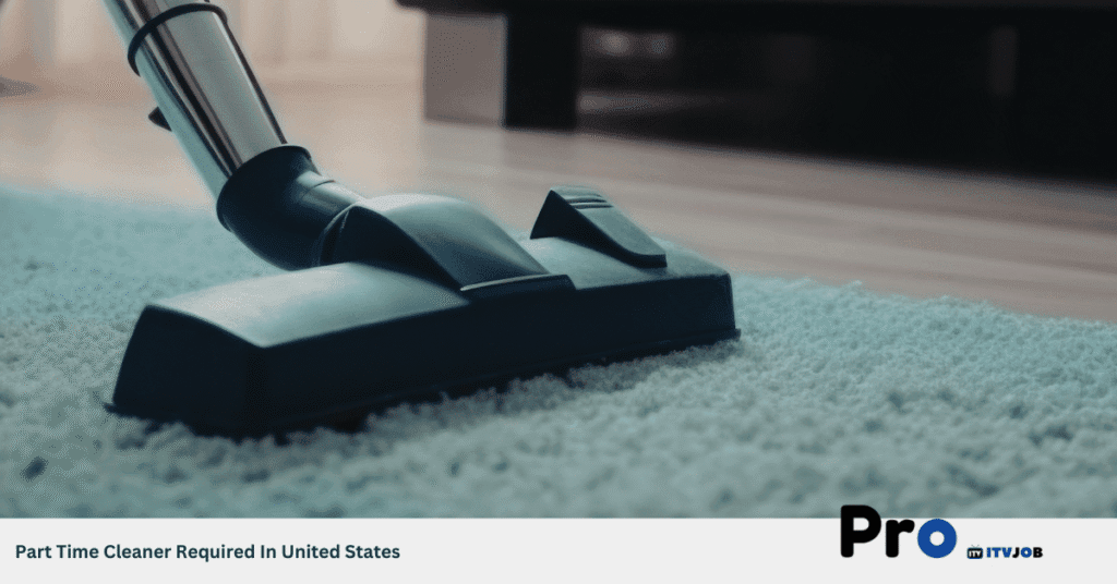 Part Time Cleaner Required In United States