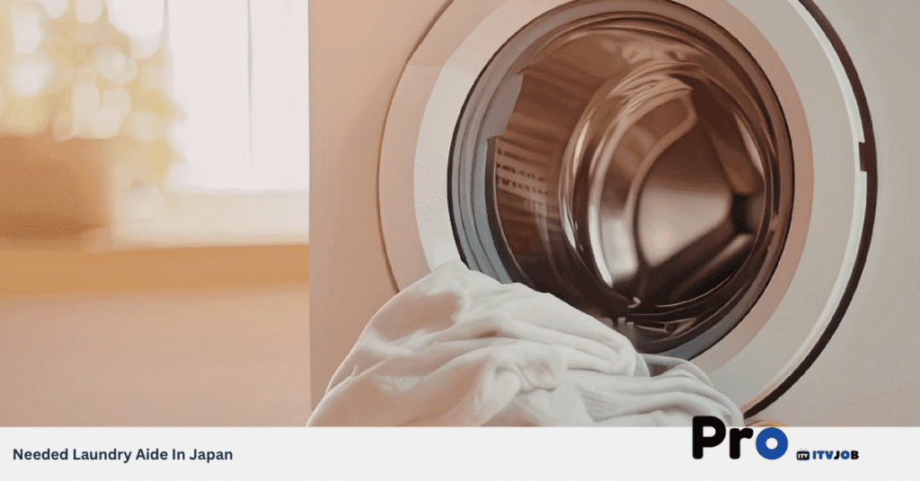 Needed Laundry Aide In Japan