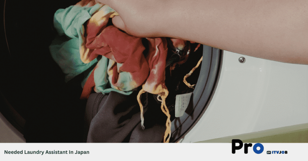 Needed Laundry Assistant In Japan