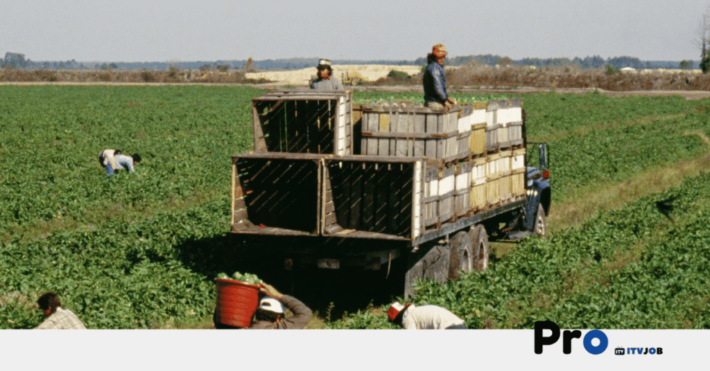 Farm Workers Needed in New Zealand